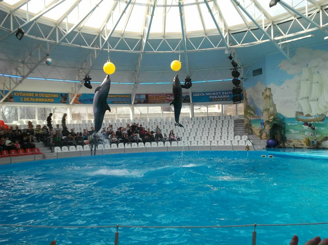 Гена Мычилкин | Донецк