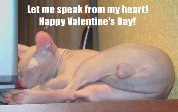 №73, Марина Озерова, 36 лет, Одесса №73, Марина Озерова, 36 лет, Одесса