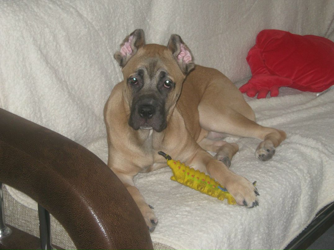 Ольга Печенко | Санкт-Петербург