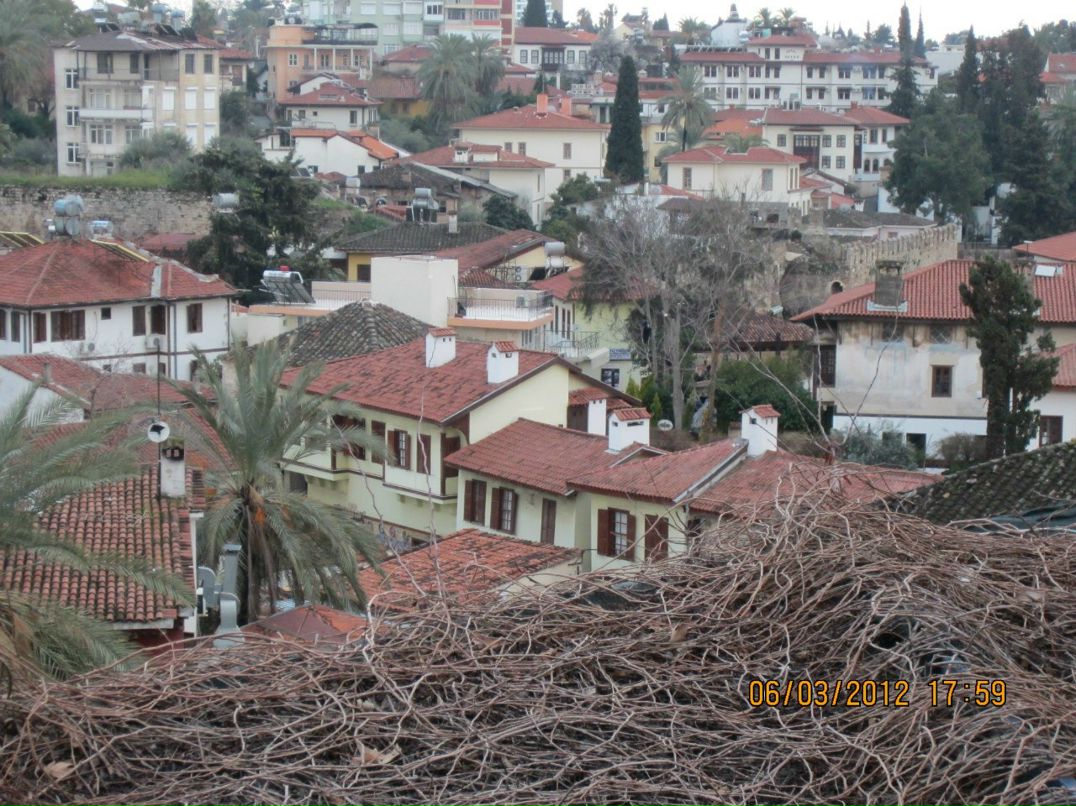 Анатолий Lambada | Херсон