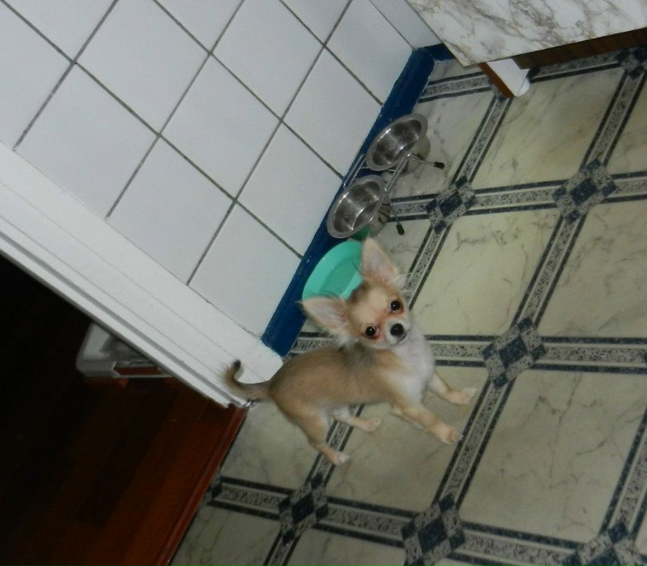 Анастасия Курина Весна!!! | Москва