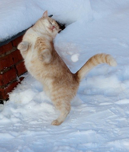 Сергей Иванов | Краснодар