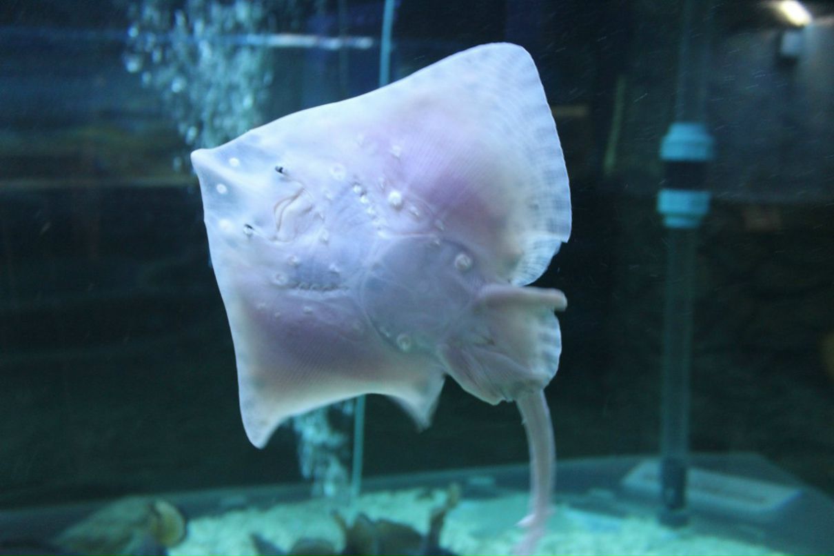 Наташа Фатеева | Кириши