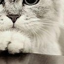 №29, Милана Латиш, Москва №29, Милана Латиш, Москва