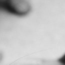 №81, Милана Латиш, Москва №81, Милана Латиш, Москва