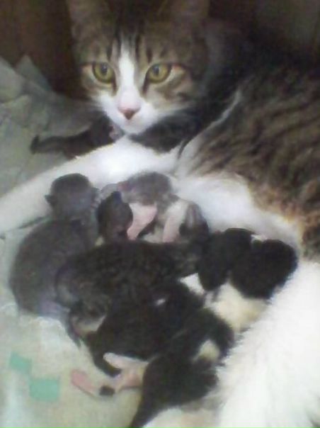 №128, Vasilina Postriganova, 30 лет, Владивосток №128, Vasilina Postriganova, 30 лет, Владивосток