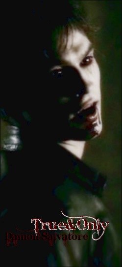 №73, Maks Chernyshov, Virginia №73, Maks Chernyshov, Virginia