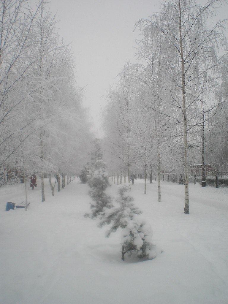 Татьяна Захарова | Псков