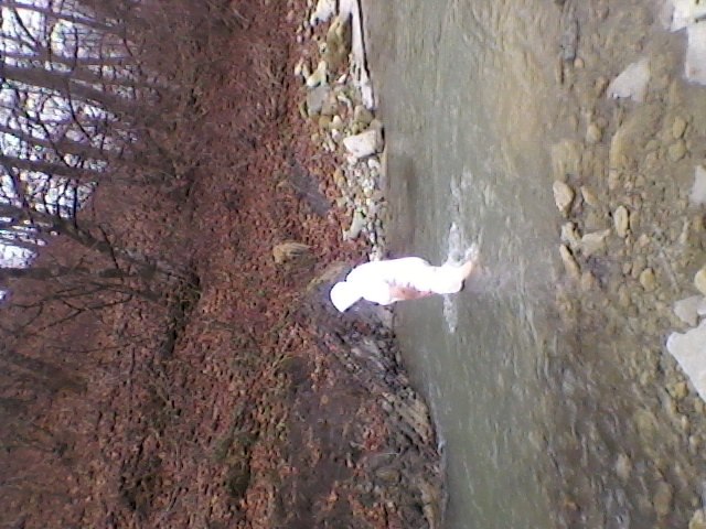 Ира Мавчук | Черновцы