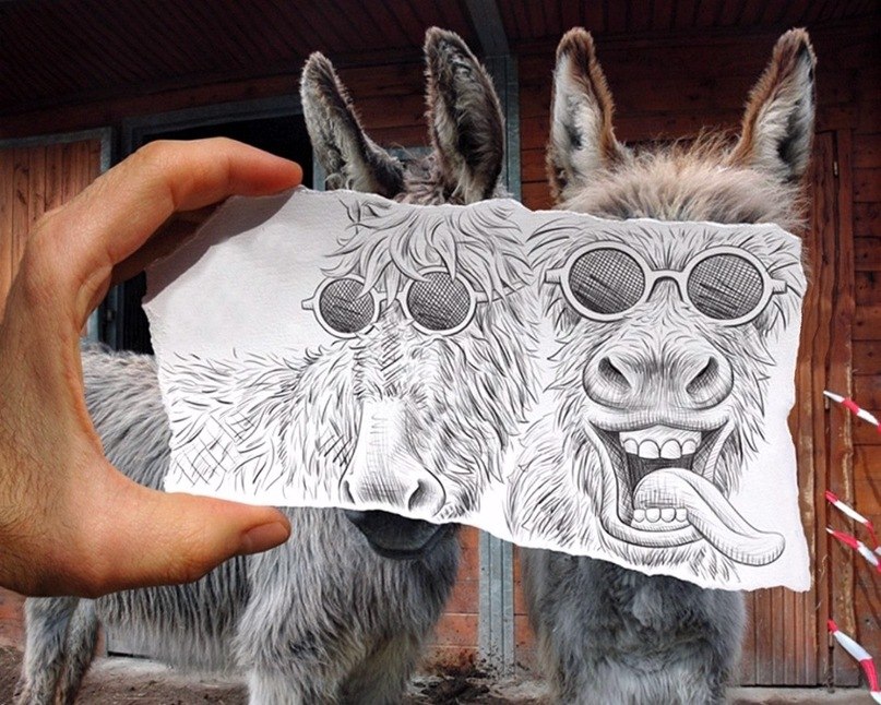 Денис Алексеев <<< DION >>> | Кировск