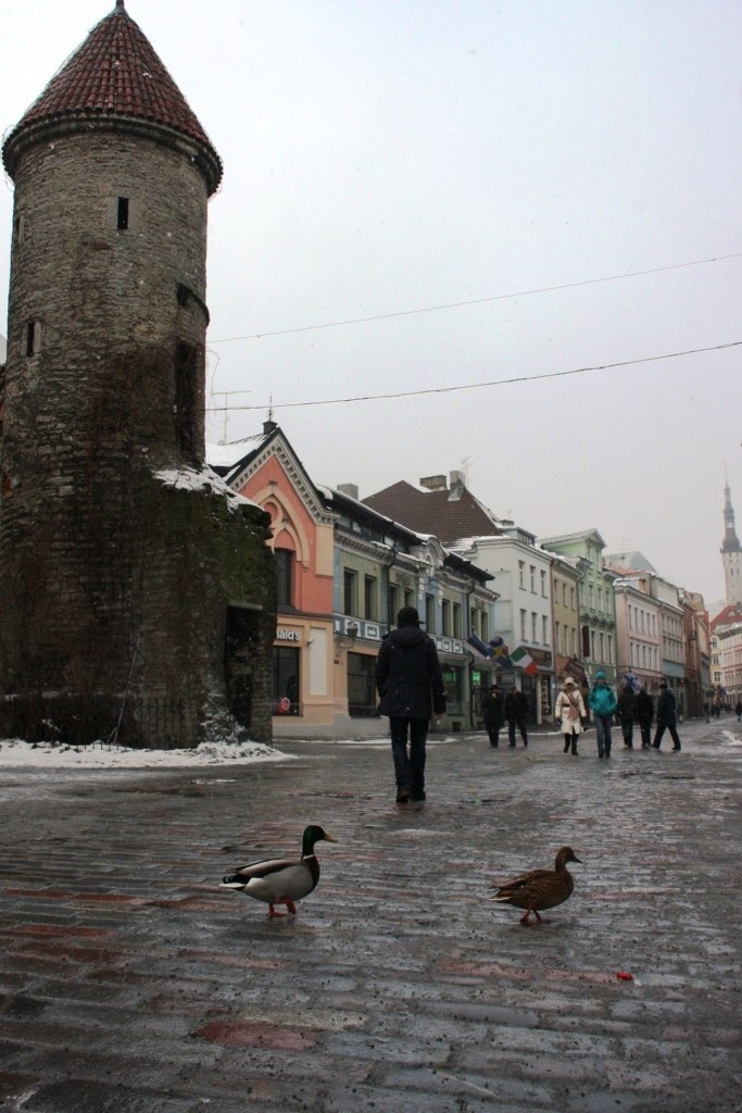 Стася Молчанинова | Москва