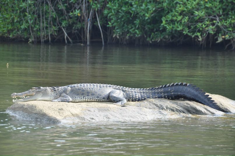Владимир Уткин | Санкт-Петербург