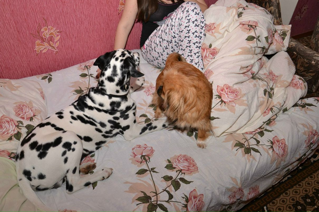 Алёна Стадниченко | Одесса