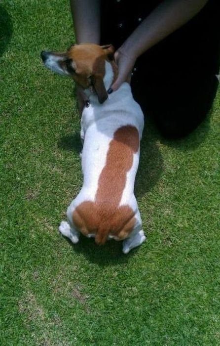 Виталия Ратькова | 