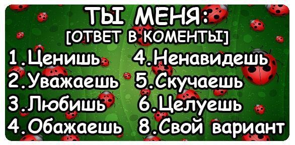 №112, Світлана Хасполатова №112, Світлана Хасполатова