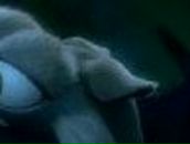 Ольга Сопронюк | Ялта