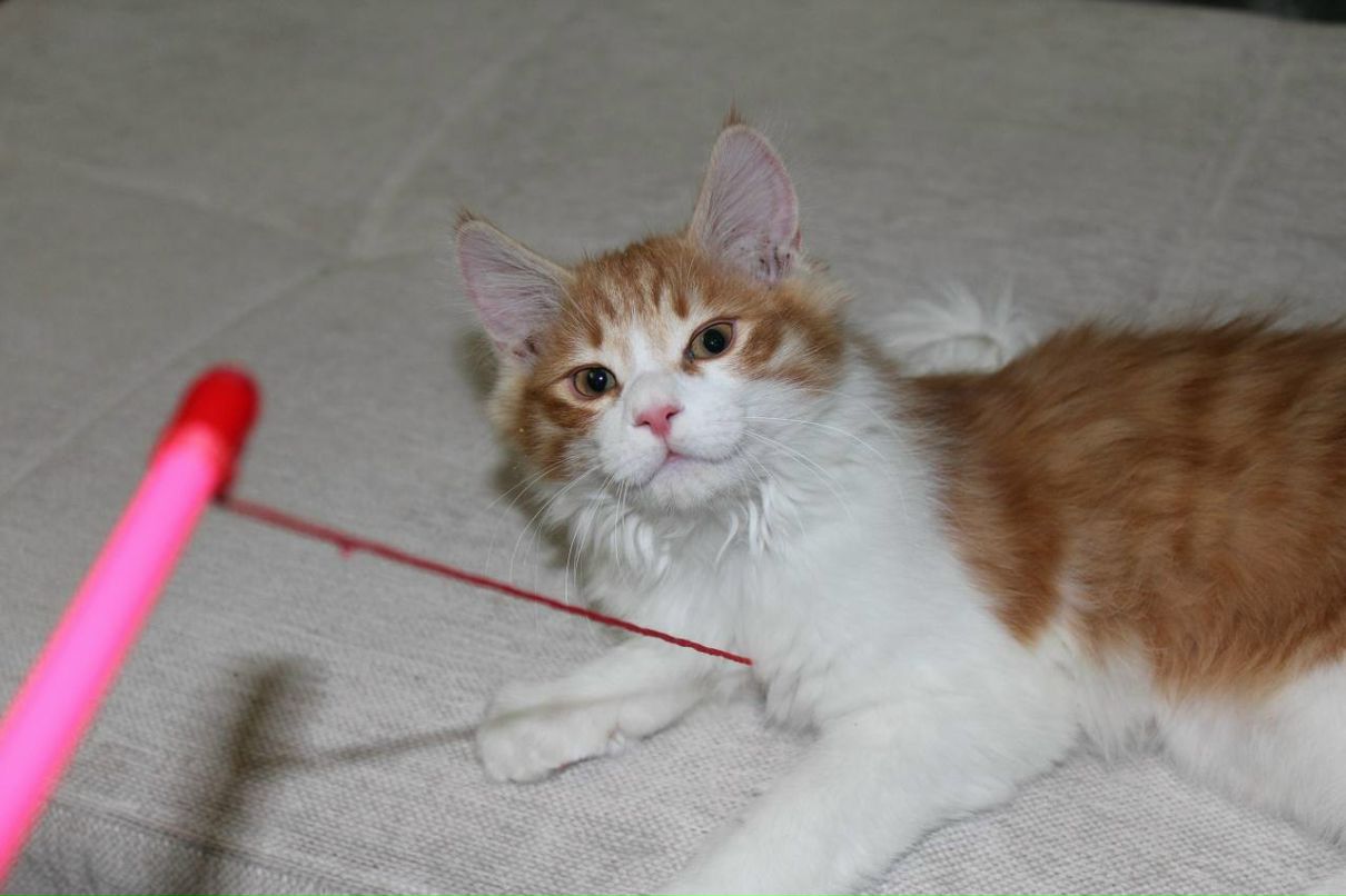 Алексей Бригаднов | Казань