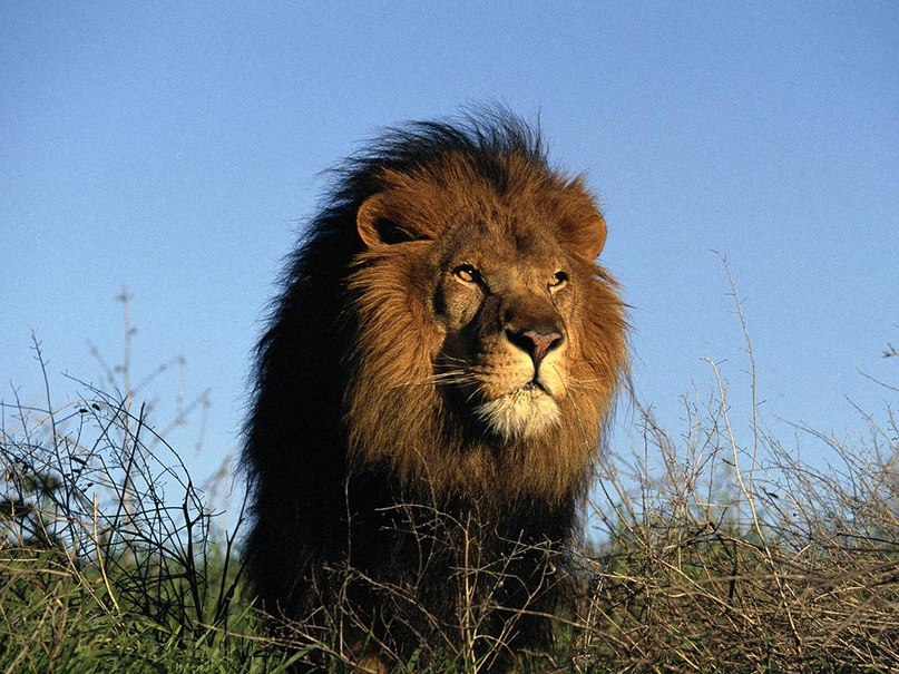Александр Деркульский | Луганск