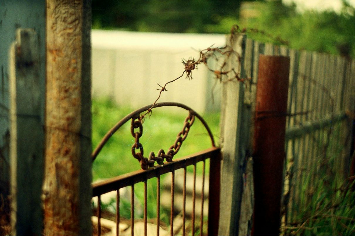 Андрей Плавский | Витебск