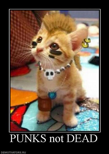 Роман Якубовский | Владивосток