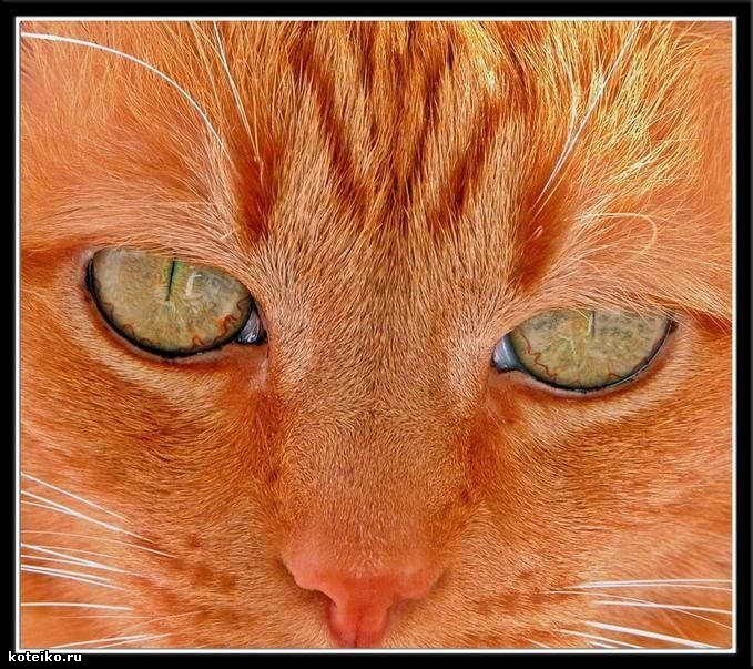 Юра Булюль | Херсон