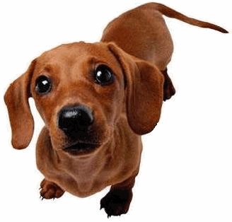 Ирина Сердюк | Санкт-Петербург