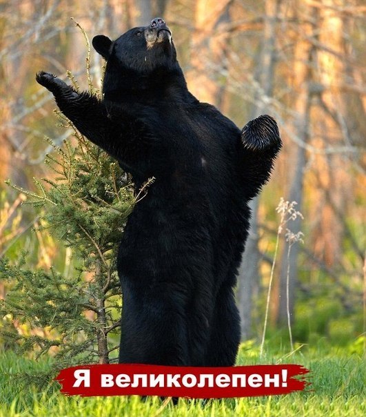 Дмитрий Морозов | Москва