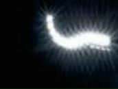 Артем Чигрецкий | Калининград