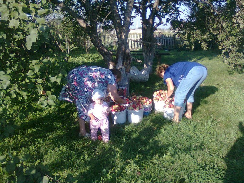 №8, Людмила Никитина, Советский №8, Людмила Никитина, Советский