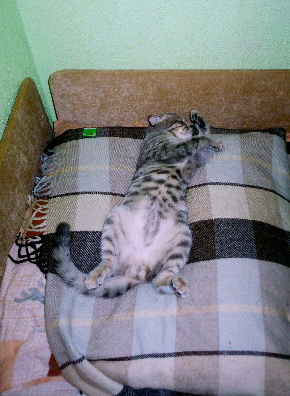 Танюша Красовская | Санкт-Петербург