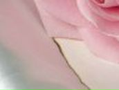 Анастасия Мясоедова | Санкт-Петербург