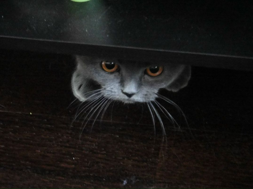 Наталья Кормышева | Санкт-Петербург