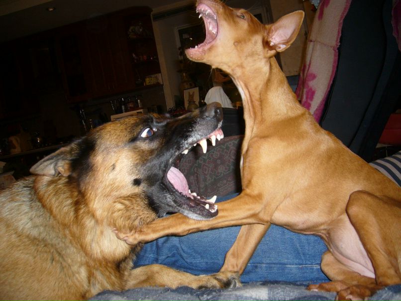 Татьяна Каволина | Санкт-Петербург