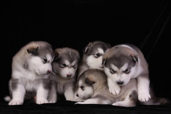 Андрей Козлов КЭП | Санкт-Петербург