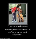 №3 Ангелина Власова