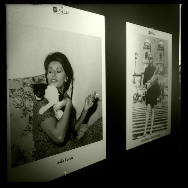 №66, Pavel Sylko №66, Pavel Sylko