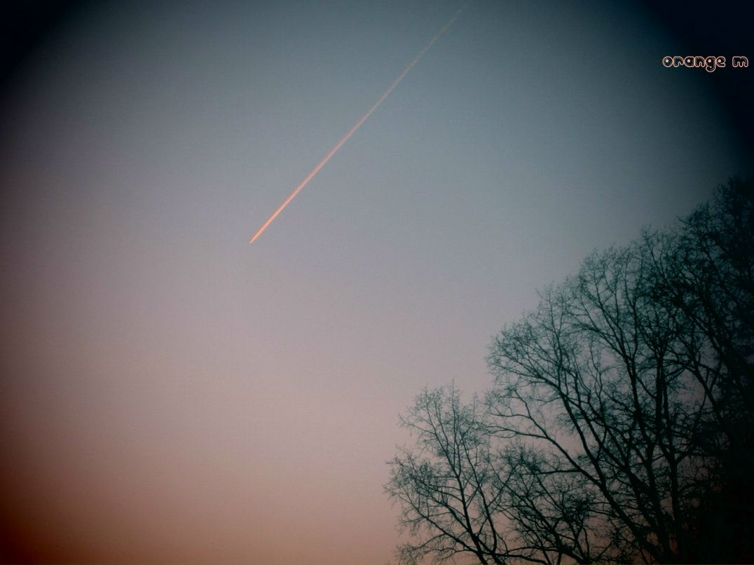 Максим Бронников | Ижевск