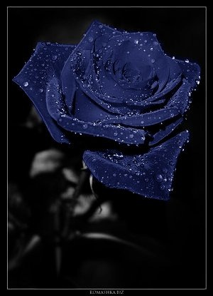№158, Ольга Задорожняя, 39 лет, Санкт-Петербург №158, Ольга Задорожняя, 39 лет, Санкт-Петербург