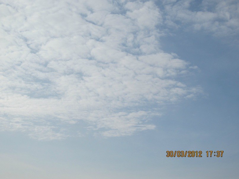 Александр Котенко | Шахи