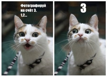 Вера Мусияк | Екатеринбург