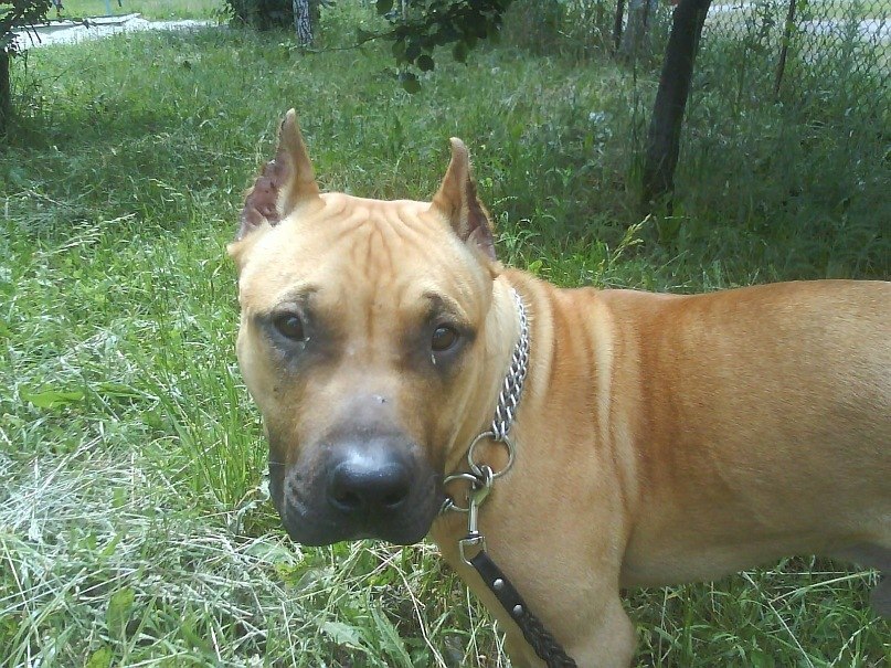 Юра Белый | Курск