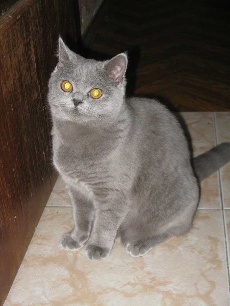 Людмила Тарабурина | Москва