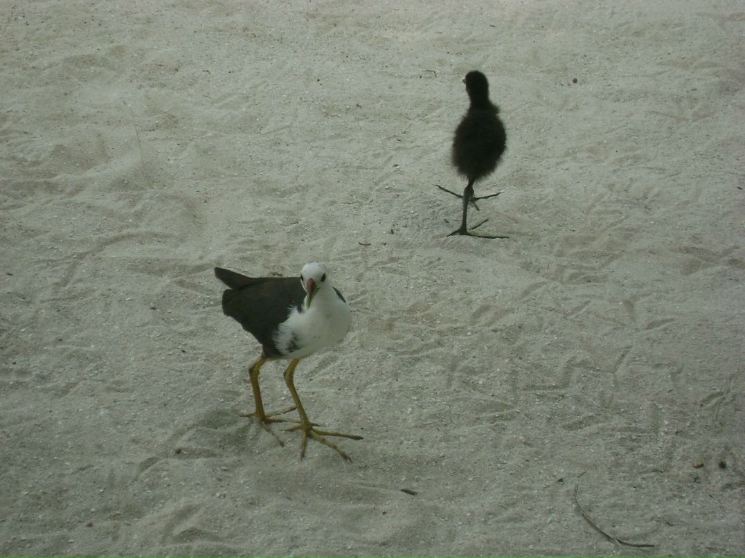 Татьяна Весёлкина | Самара