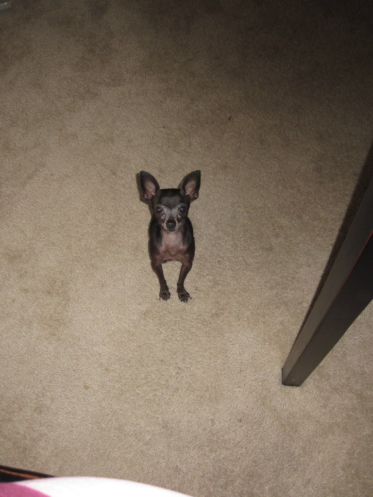 Ekaterina Peskova | Харьков