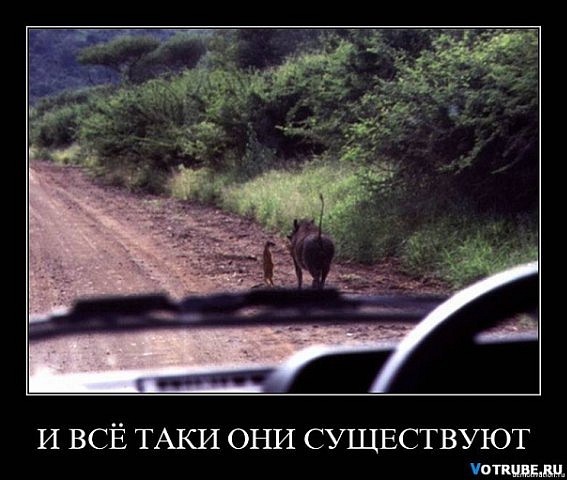 №18, Елена Вартанова, Алушта №18, Елена Вартанова, Алушта