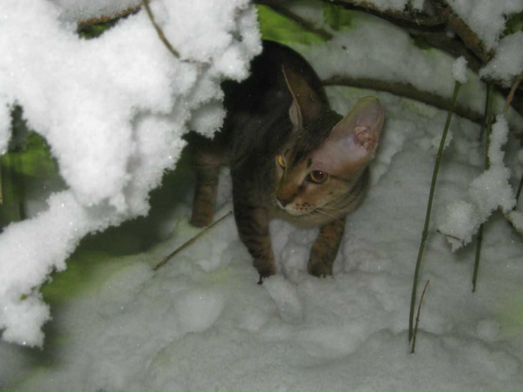 Наталья Загуляева | 