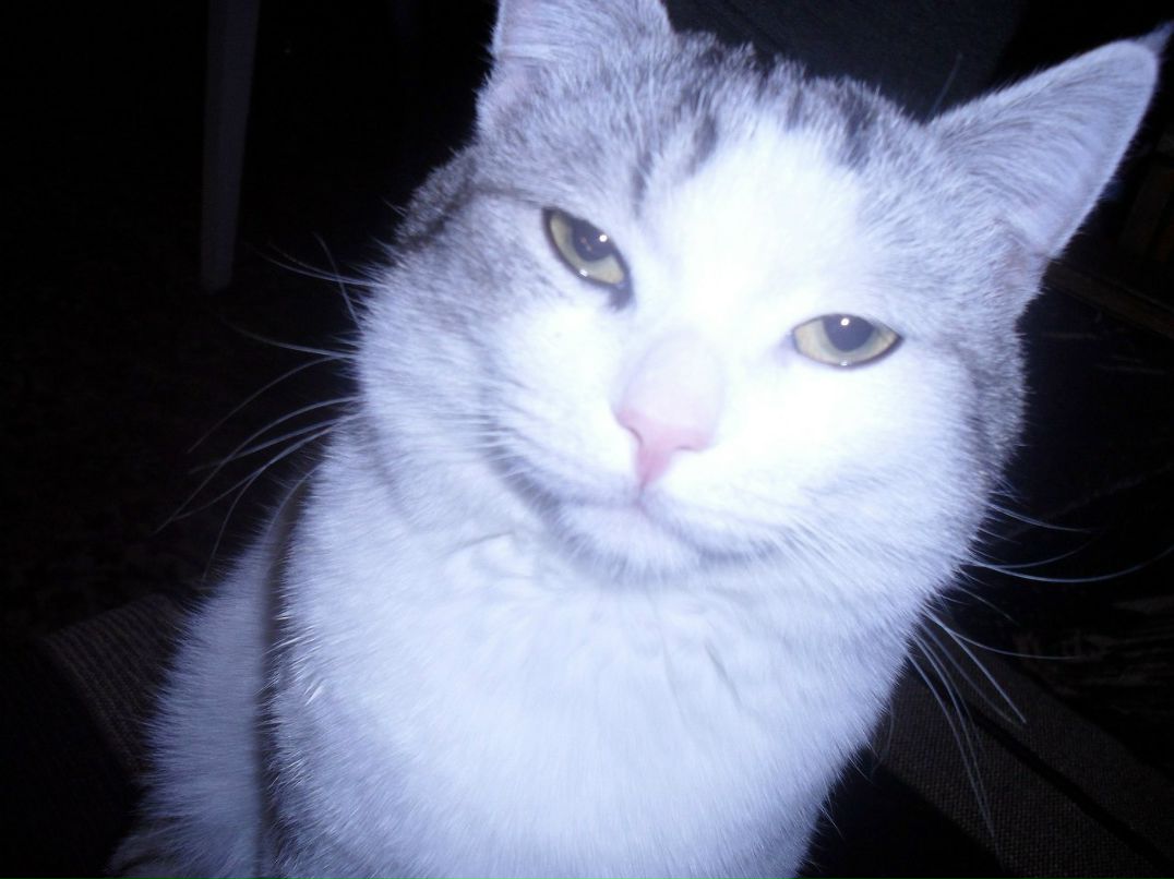 Сергей Асеев | Нижний Новгород