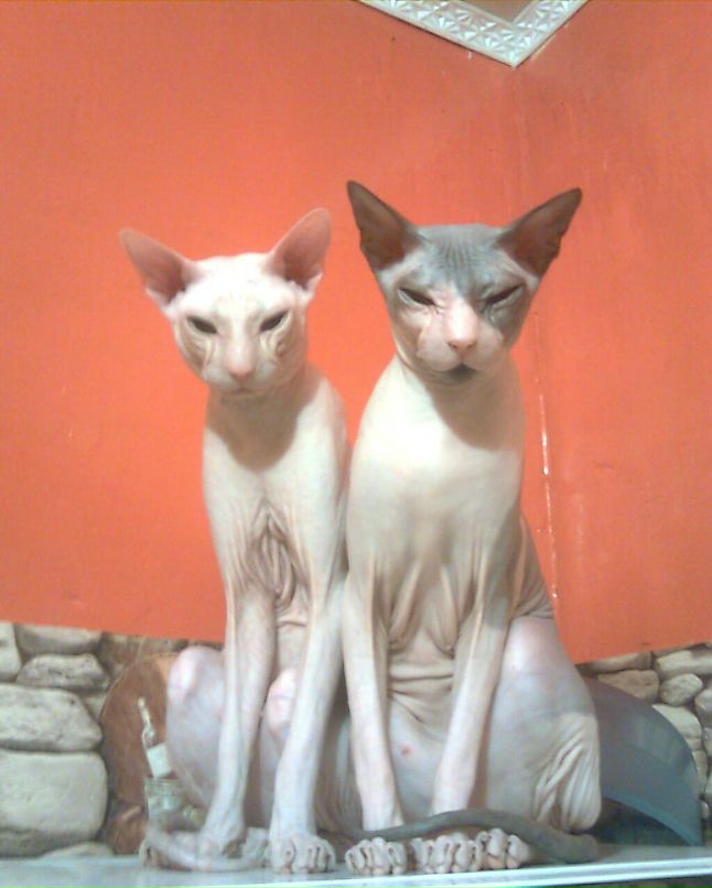 Олег Филоненко | Санкт-Петербург