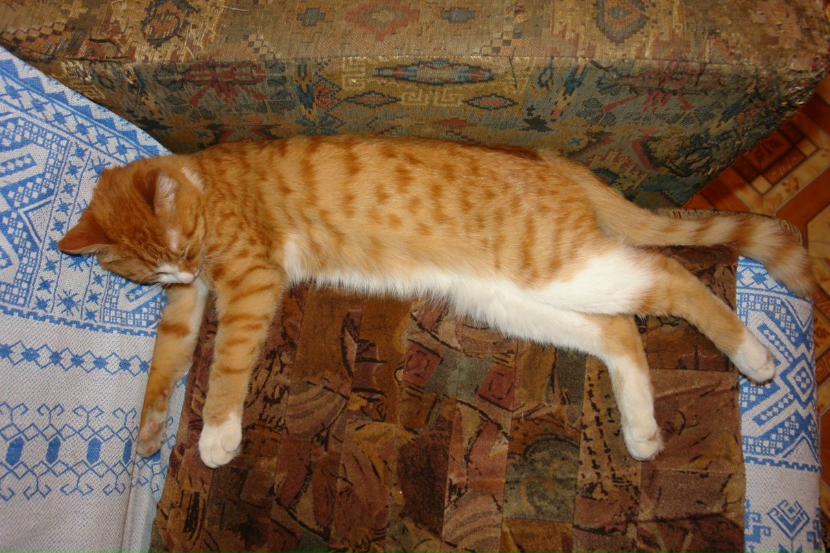 Александра Абросимова | Екатеринбург