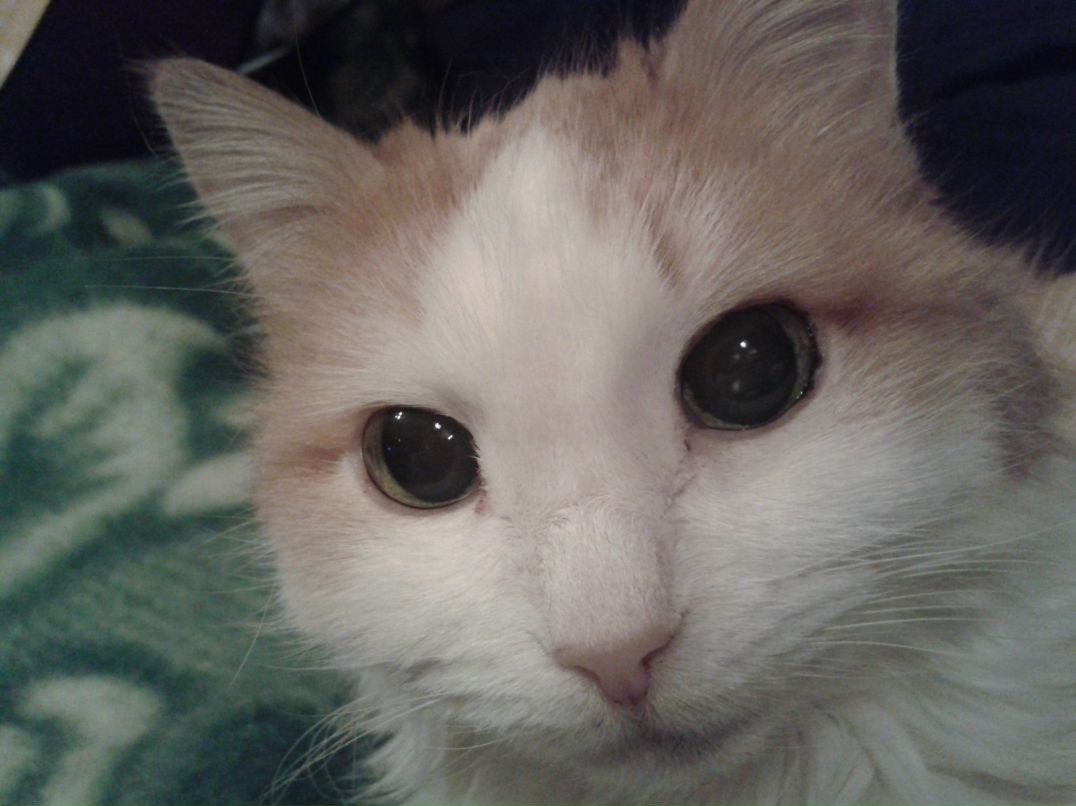 Omar Khalidov | Москва